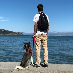 Meet your Posher, Jordan